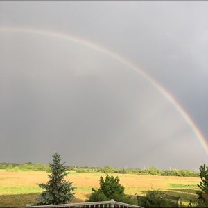 Meet your Posher, Lara