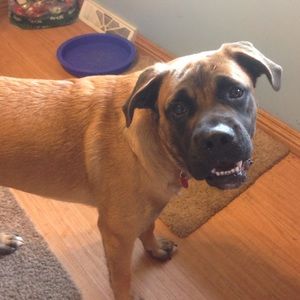 Meet your Posher, Karen