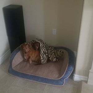 Meet your Posher, Lori