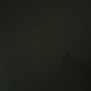 Meet your Posher, Joyce