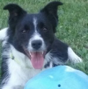 Meet your Posher, Sandi