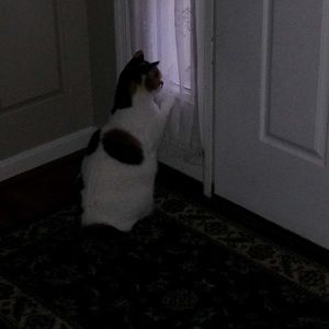 Meet your Posher, Carrie