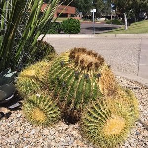 Meet your Posher, Ildiko