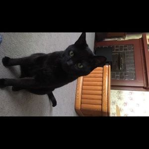 Meet your Posher, Tae