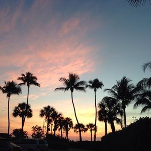 Meet your Posher, Susanna