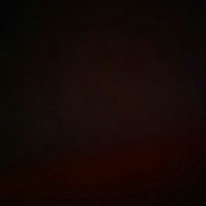 Meet your Posher, Elsa