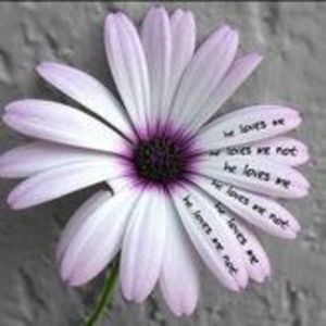 Meet your Posher, Katy