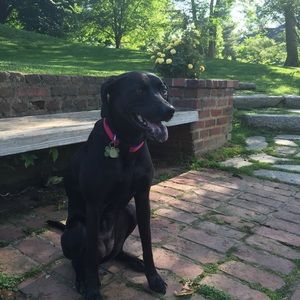 Meet your Posher, Beth