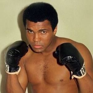 Meet your Posher, Sonya