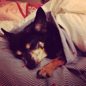 Meet your Posher, Robyn