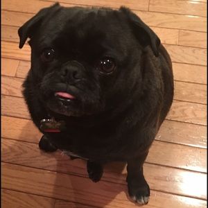 Meet your Posher, Diane