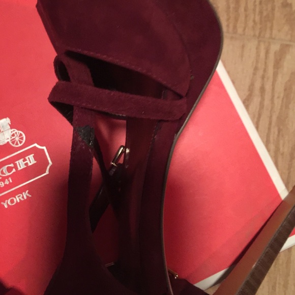 Buster & Lina Sale! Coach Suede Platform Sandals View 4