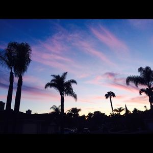 Listing for @debbiedisney