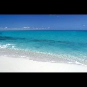 Meet your Posher, Karina