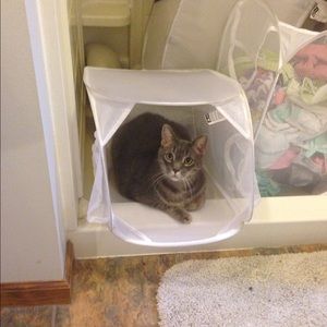 Meet your Posher, Jill