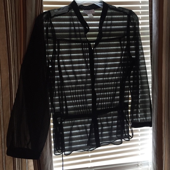 Ann Taylor sheer polka dot button down