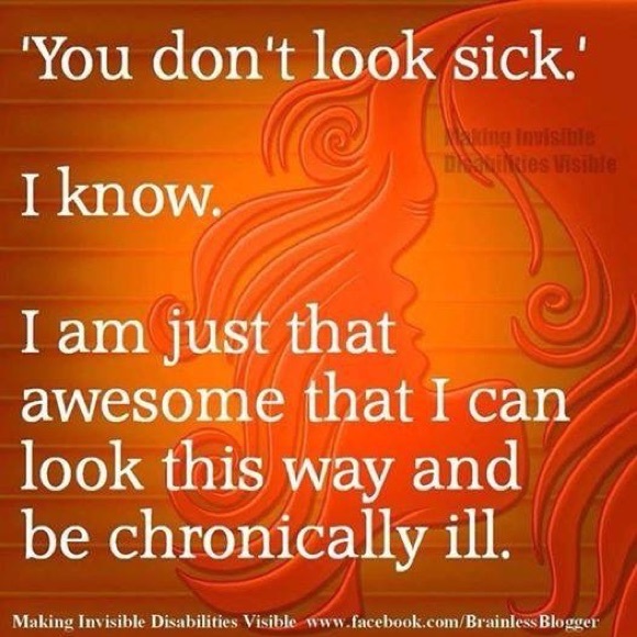 Meet your Posher, Ginger - Picture 4 of 5