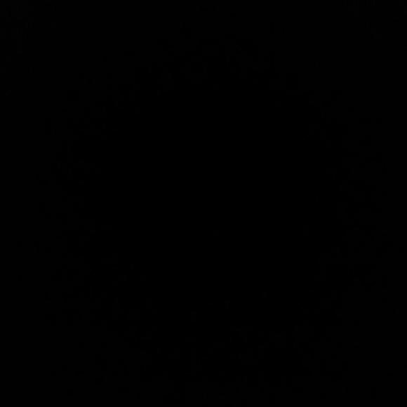 Meet your Posher, Celeste