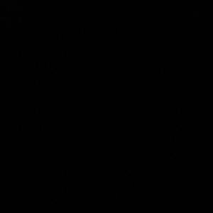 Meet your Posher, Celeste