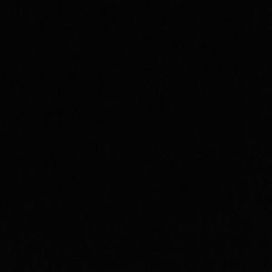 Meet your Posher, Cheyenne