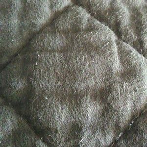 Meet your Posher, Daphny