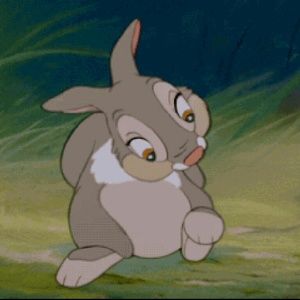 Meet your Posher, Robin