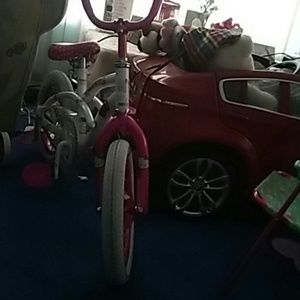 Meet your Posher, Ann