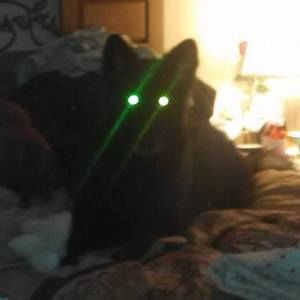 Meet your Posher, Pam