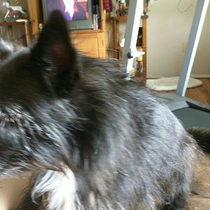 Meet your Posher, Diane