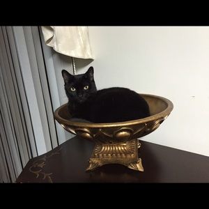 Meet your Posher, Anne