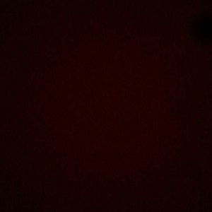 Meet your Posher, Maggie