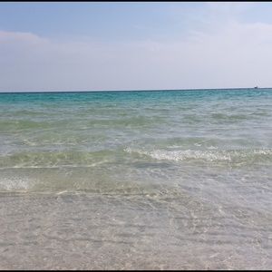 Meet your Posher, Lexy