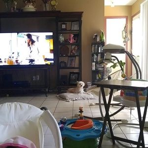 Meet your Posher, Lydia