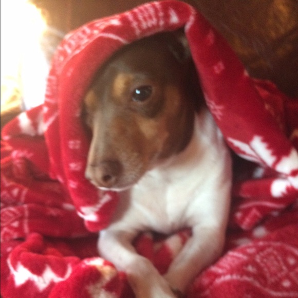 Meet your Posher, Jodi k - Picture 1 of 1