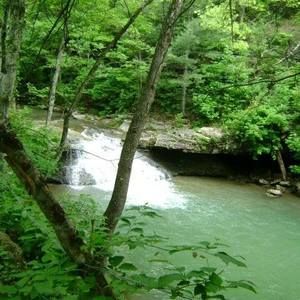 Meet your Posher, Rita