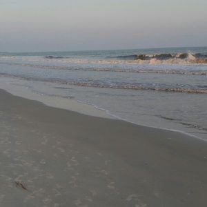 Meet your Posher, Pam