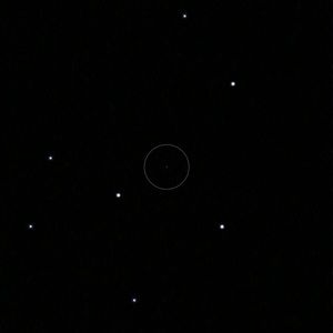 Meet your Posher, Chantel