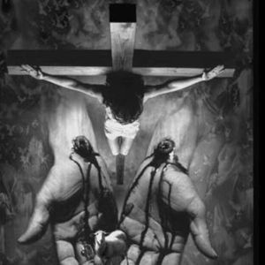 Meet your Posher, Ana beatriz