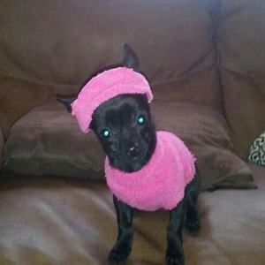 Meet your Posher, Orieta