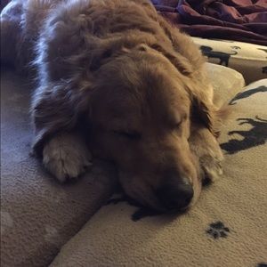 Meet your Posher, Carol