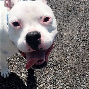 Meet your Posher, Shauna