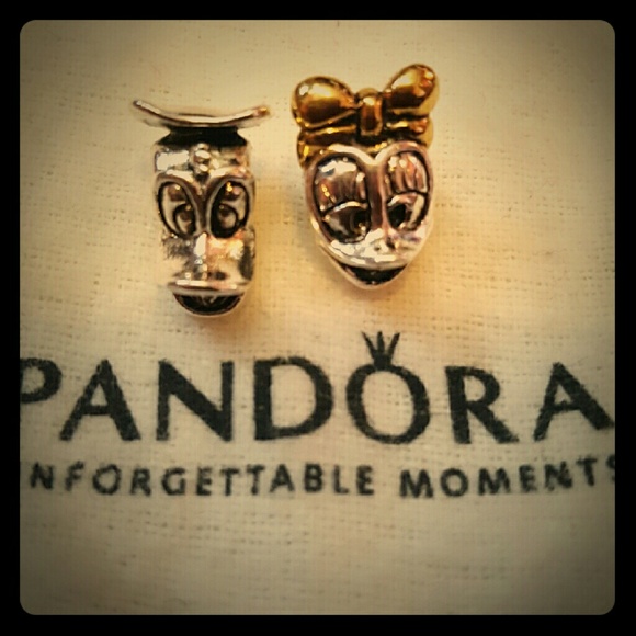 Donald and Daffy Duck Charm