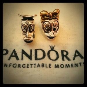 Donald and Daffy Duck Charm