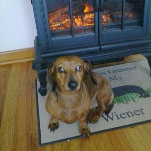 Meet your Posher, Katherine