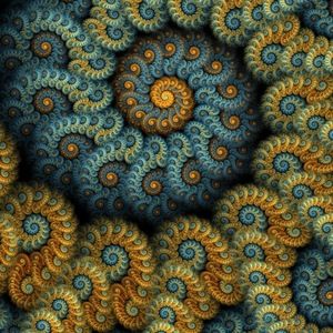 Meet your Posher, Sonia