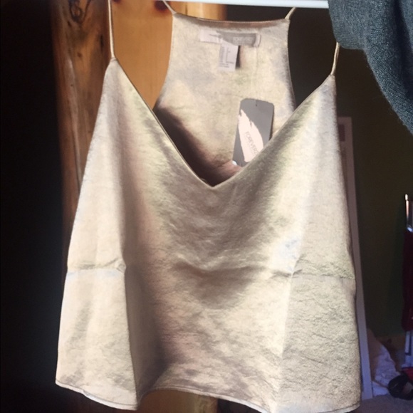 Gold metallic crop top