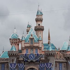 Meet your Posher, Deedee