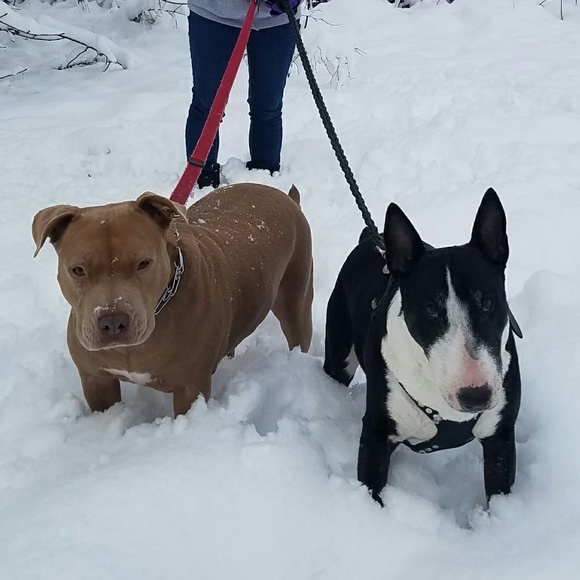 🖤 HEY HEY!! 🖤 - Picture 5 of 7