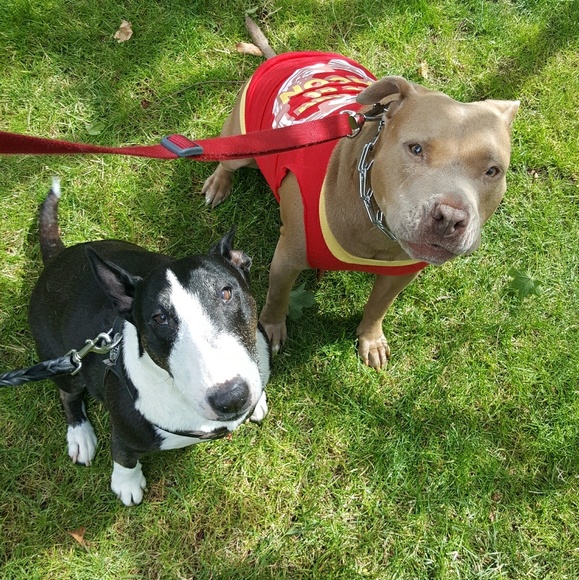 🖤 HEY HEY!! 🖤 - Picture 4 of 7