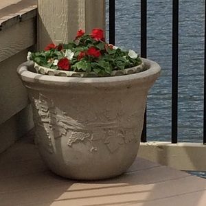 Meet your Posher, Ann